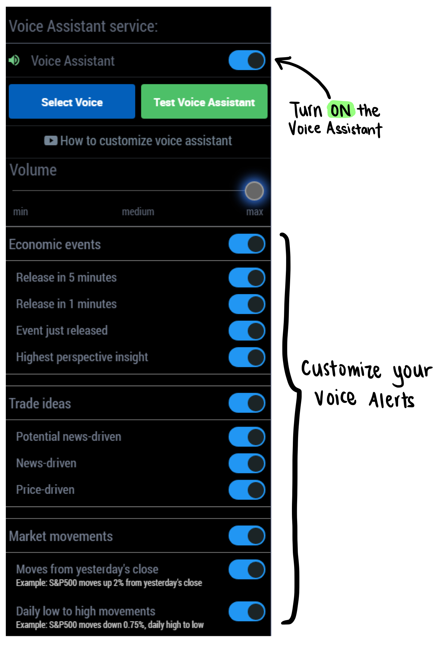 Fig. 3: Customization Screen for Voice Assistant